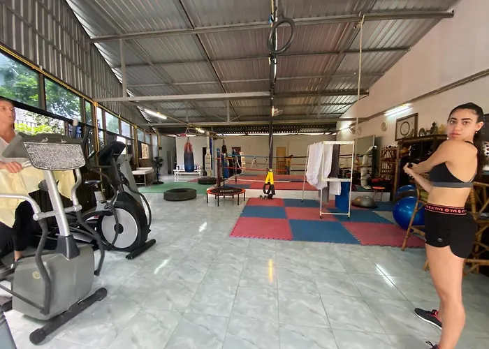 Jungle Gym Hotel